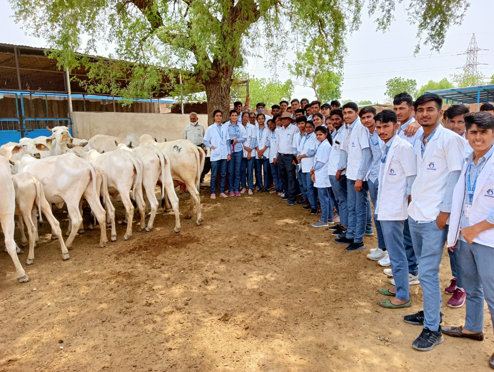 World Milk Day Photo-2